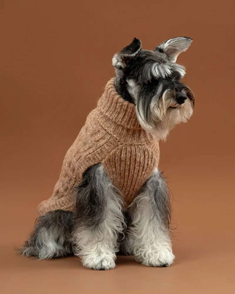 Basket Knit Alpaca Wool Dog Sweater in Golden Heather