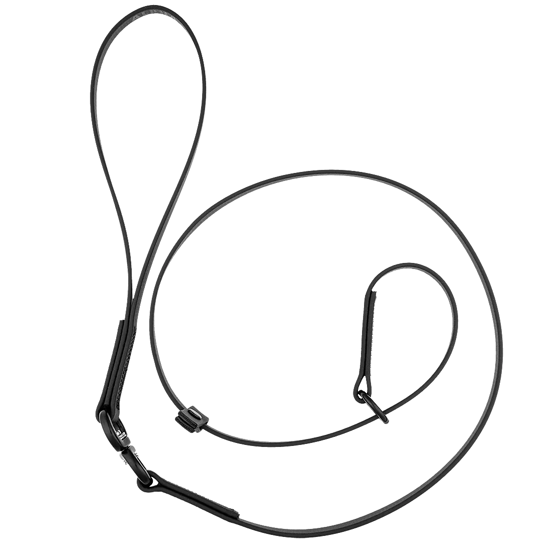 Swivel Slip Lead Black by Alpha Grooming