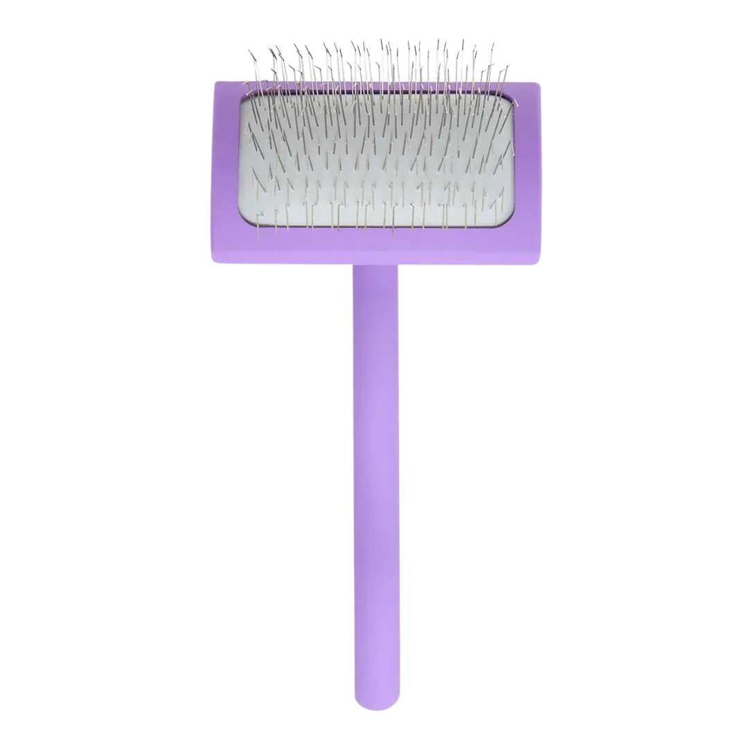 Big A Slicker Brush Medium/Purple by Chris Christensen