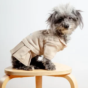 Naturalia Knit + Trench Dog Dress