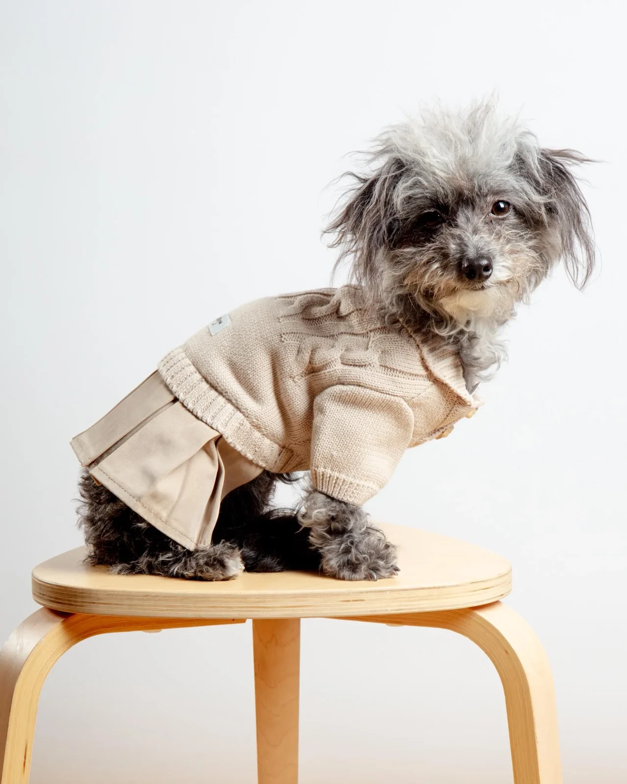 Naturalia Knit + Trench Dog Dress