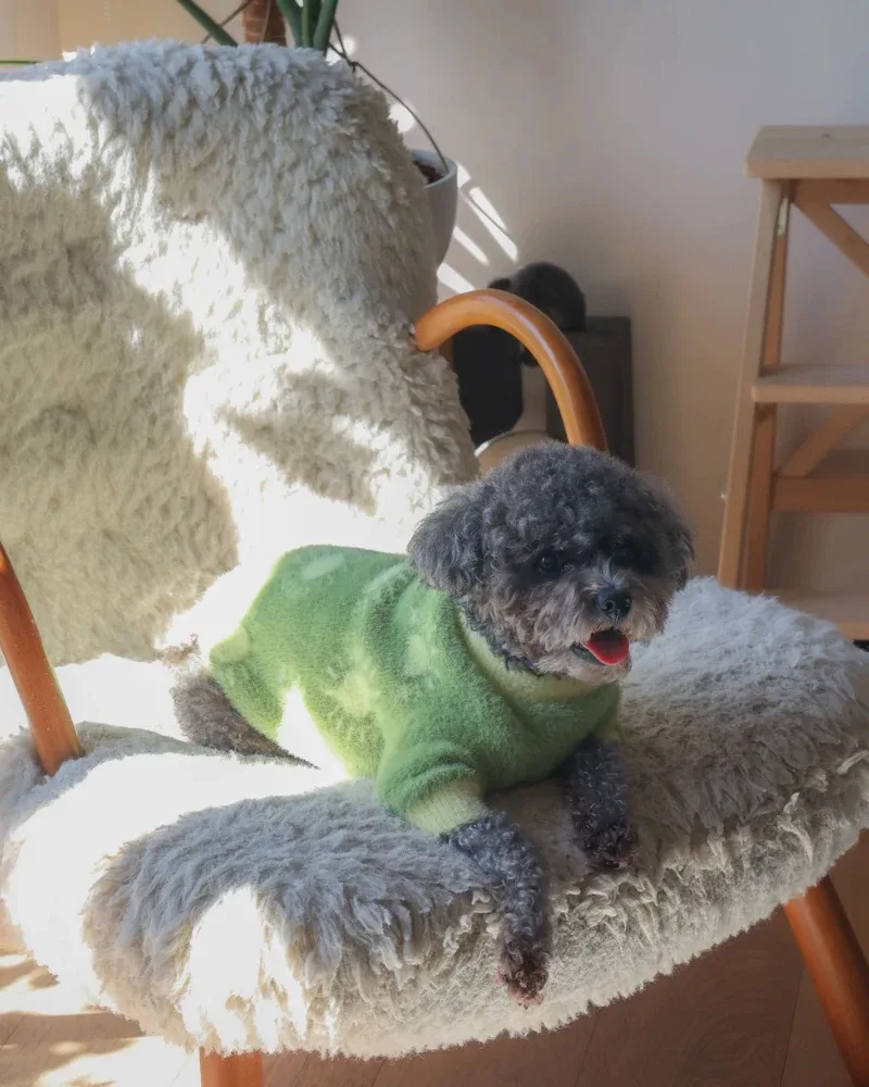 Sunny Day Soft Cloud Dog Sweater (FINAL SALE) - Image 2