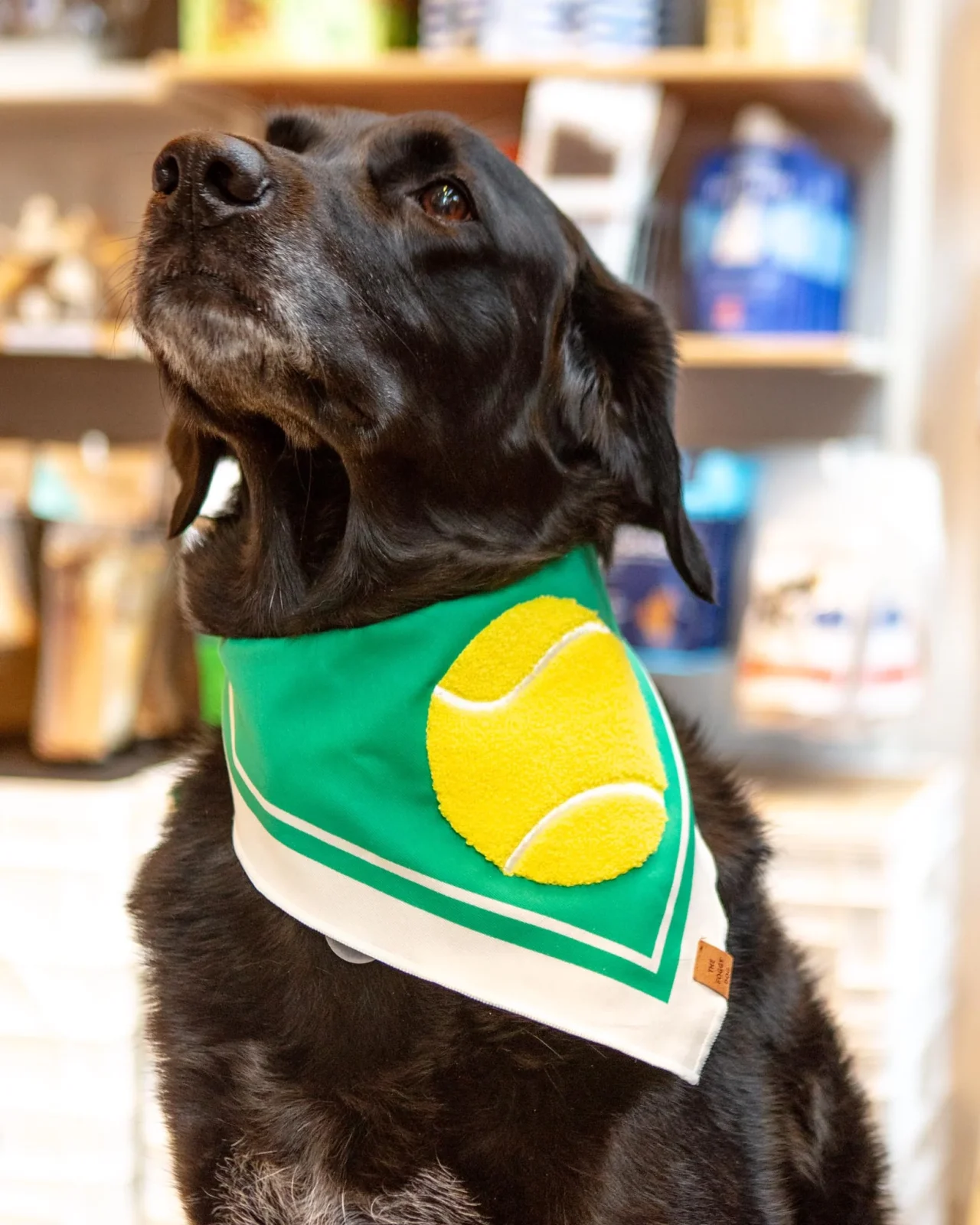 Tennis Applique Dog Bandana (FINAL SALE)