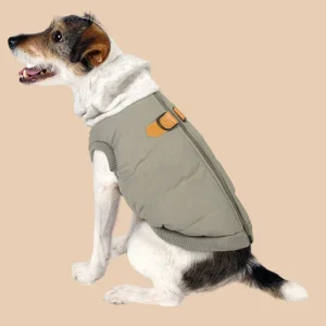 Warm Up Harness Jacket in Beige