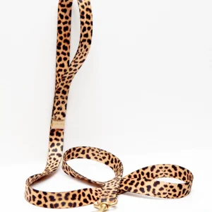 Basic Nylon Dog Leash in Leopard (Made in the USA)