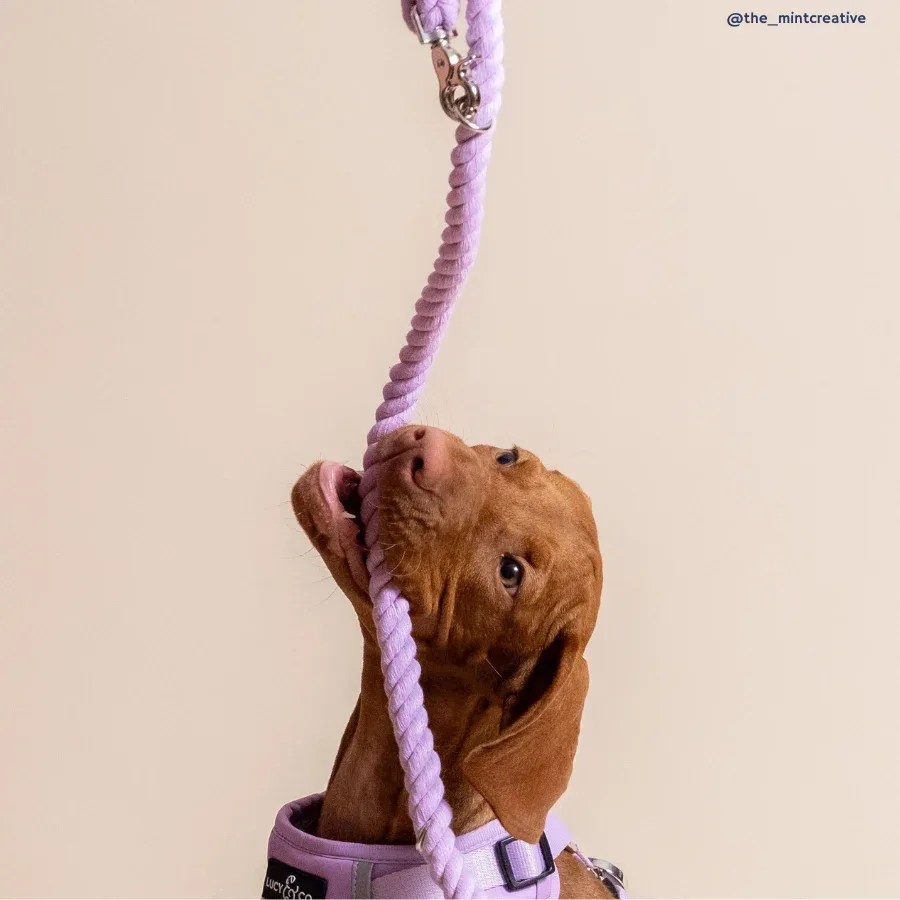 Bouquet Hands-Free Rope Leash - Image 2