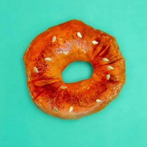 Bagel Squeak + Crinkle Dog Toy