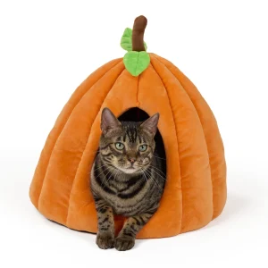 Thrills & Chills® Halloween Pumpkin Hut Cat Bed, ONESIZE 16 IN L X 16 IN W