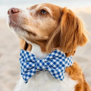 Lake Blue Gingham Dog Bow Tie