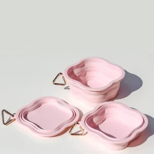 Collapsible Silicone Water Bowl