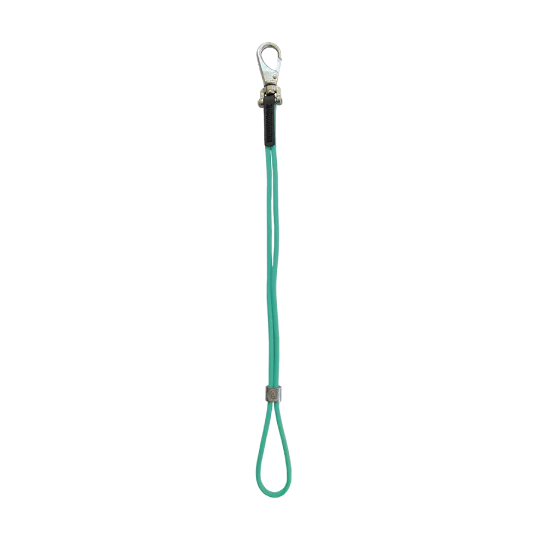 AXL Show Loop Teal by Alpha Grooming