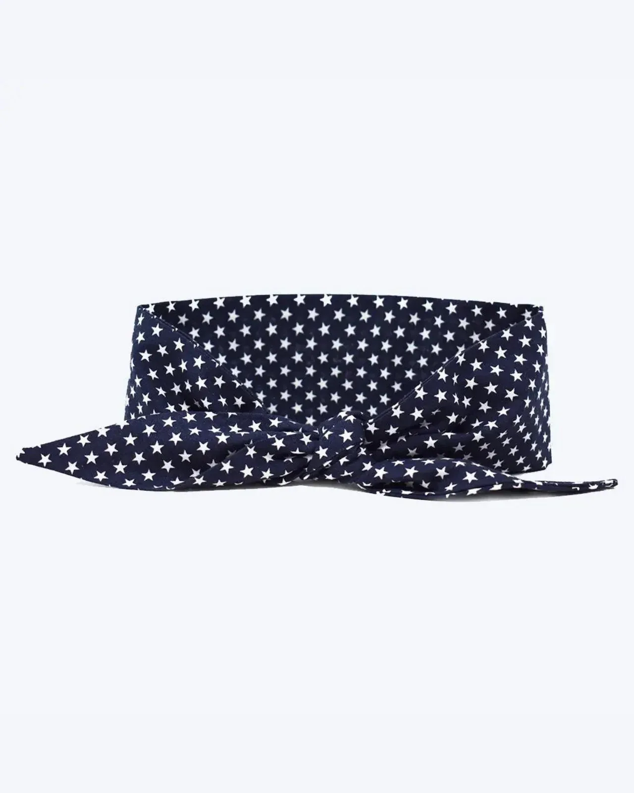 Neck Tie in Starry Night (Made in the USA) (FINAL SALE)