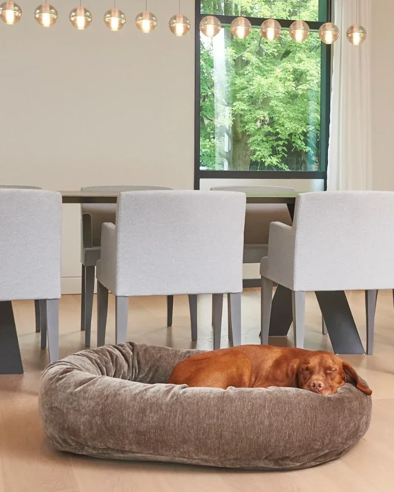 Donut Dog Bed in Bark Washed Microvelvet (In-Store)
