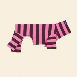 Ribbed Dog Onesie in Cheshire