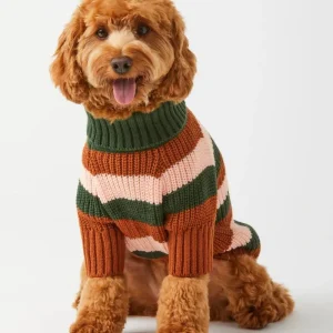 Bold Stripe Dog Sweater (FINAL SALE)
