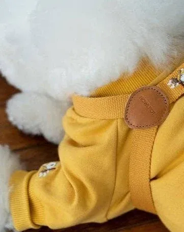 Adventure Sweatshirt in Sahara Yellow (FINAL SALE) - Image 2