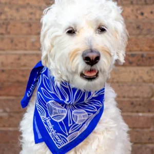 Nyla Bandana for Human & Dog (22"x22")