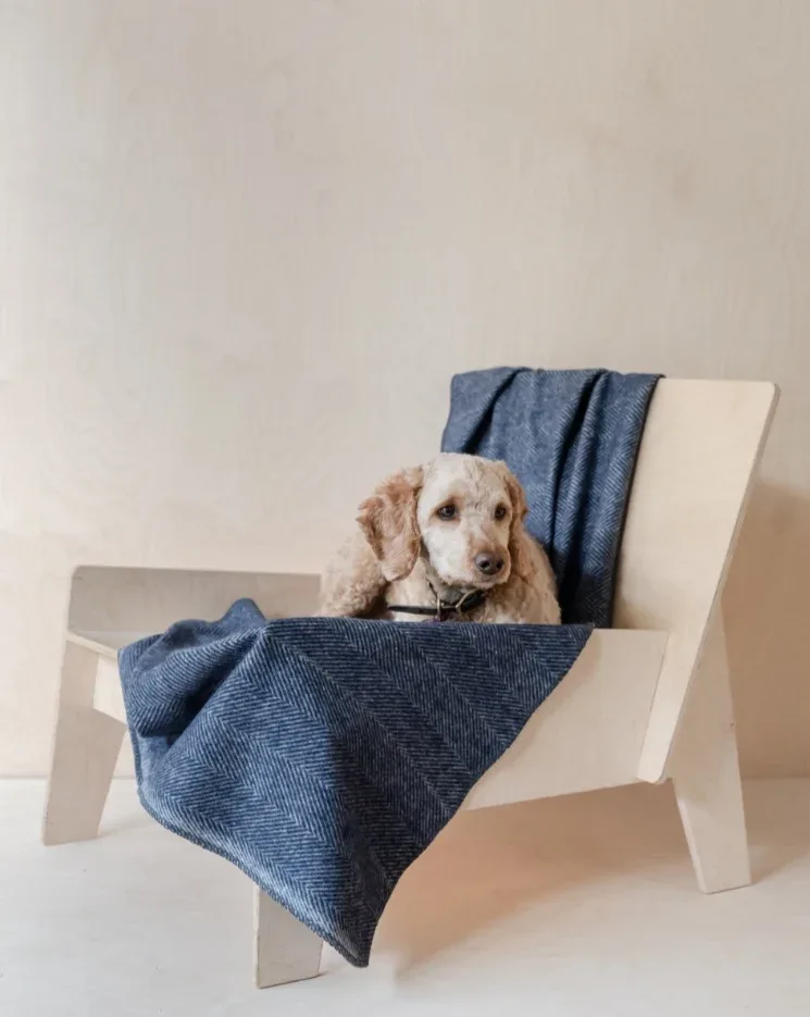 Recycled Wool Pet Blanket in Navy Herringbone (FINAL SALE)