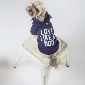 *Love Like a Dog* Graphic Hoodie (Proceeds Benefit the ACLU)