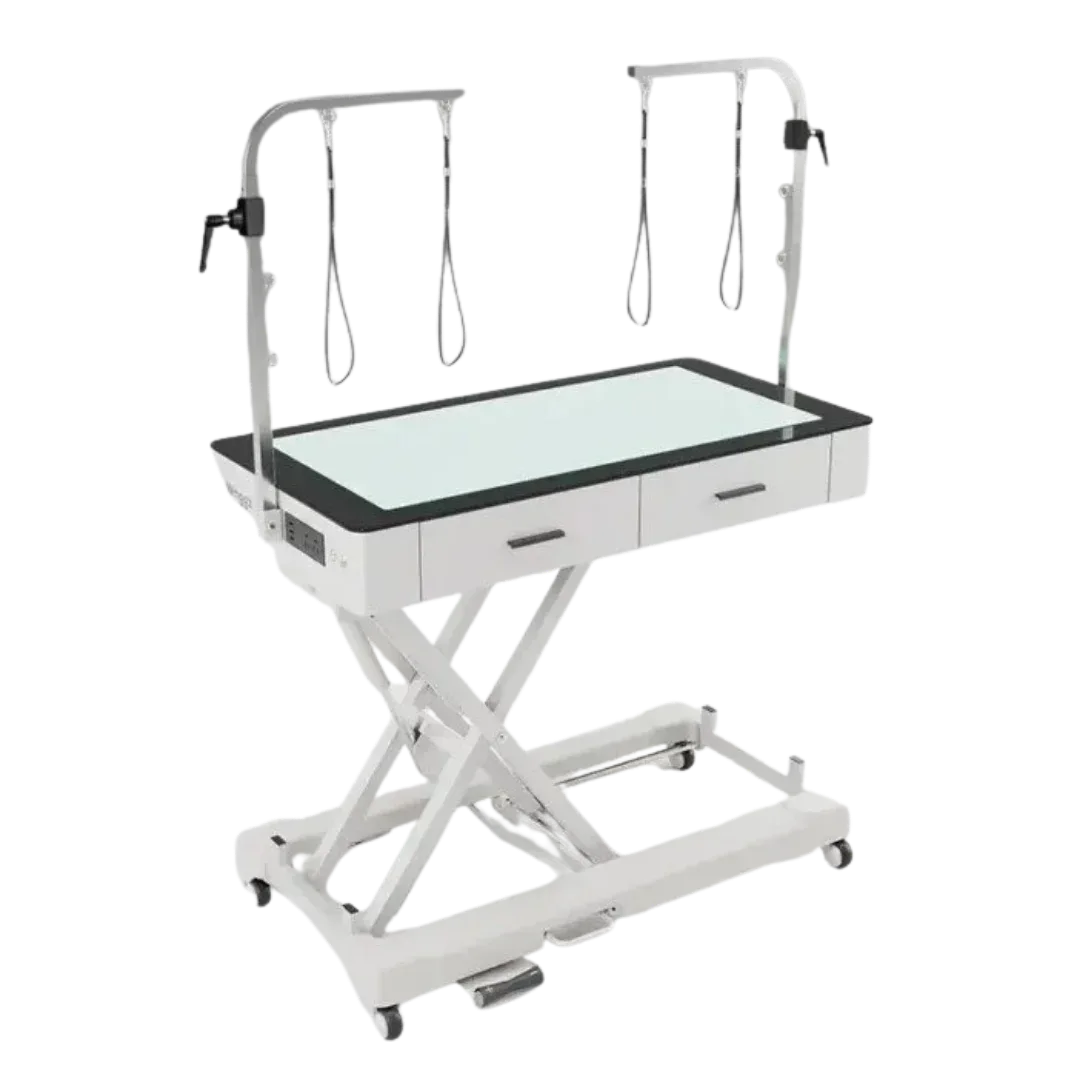 50" Dog Grooming LED Electric Table with Drawer and Caster White by Waggz