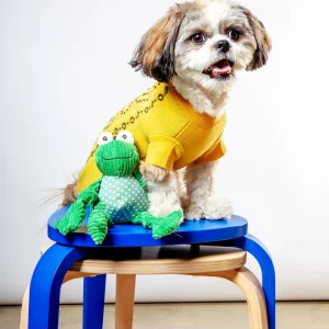 Fergie Frog Knottie Dog Plush Toy