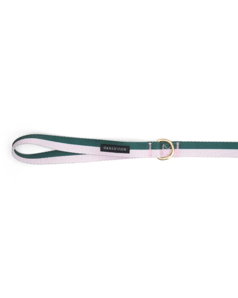 Hunter + Blush Stripe Dog Leash (FINAL SALE) - Image 2