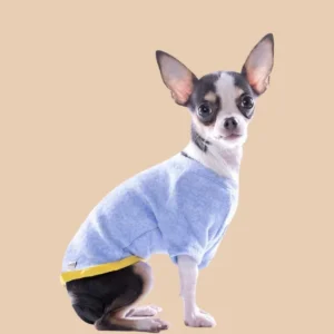 Lightweight Dog T-Shirt in Blue w/ Yellow Trim (Made in Spain) (FINAL SALE)