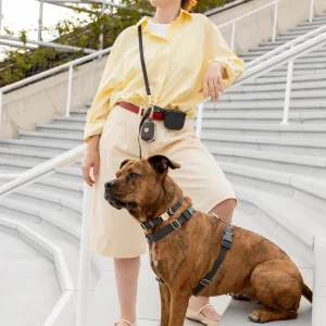 4-in-1 Convertible Hands Free Dog Leash in Ember Black