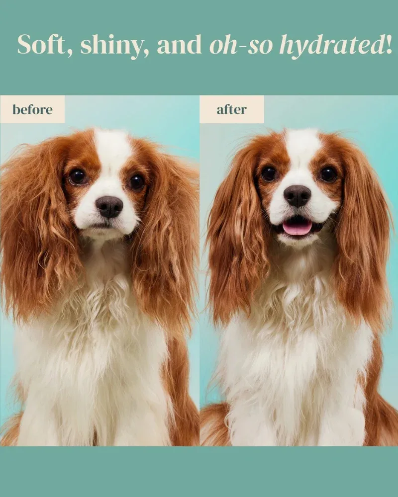 Furfection Rice Water Paw & Facial Shampoo - Image 2