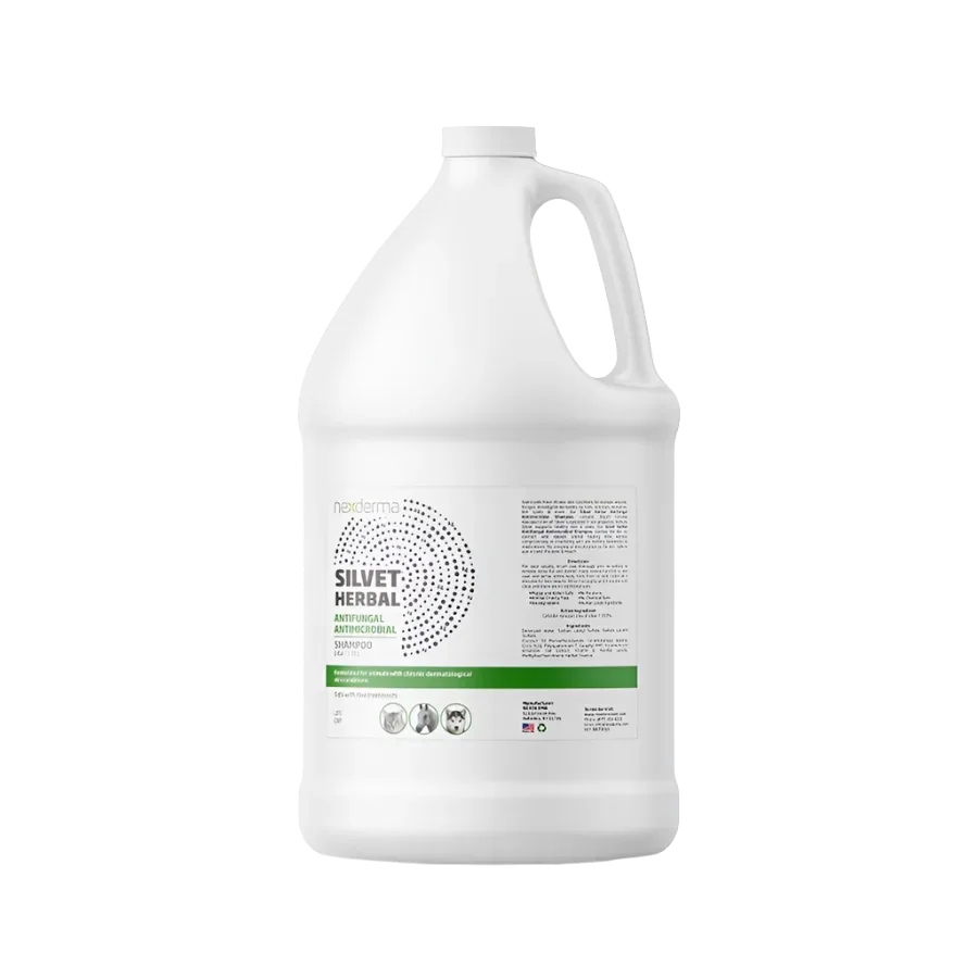 Silvet Herbal Antifungal Antimicrobial Shampoo Gallon by Nexderma