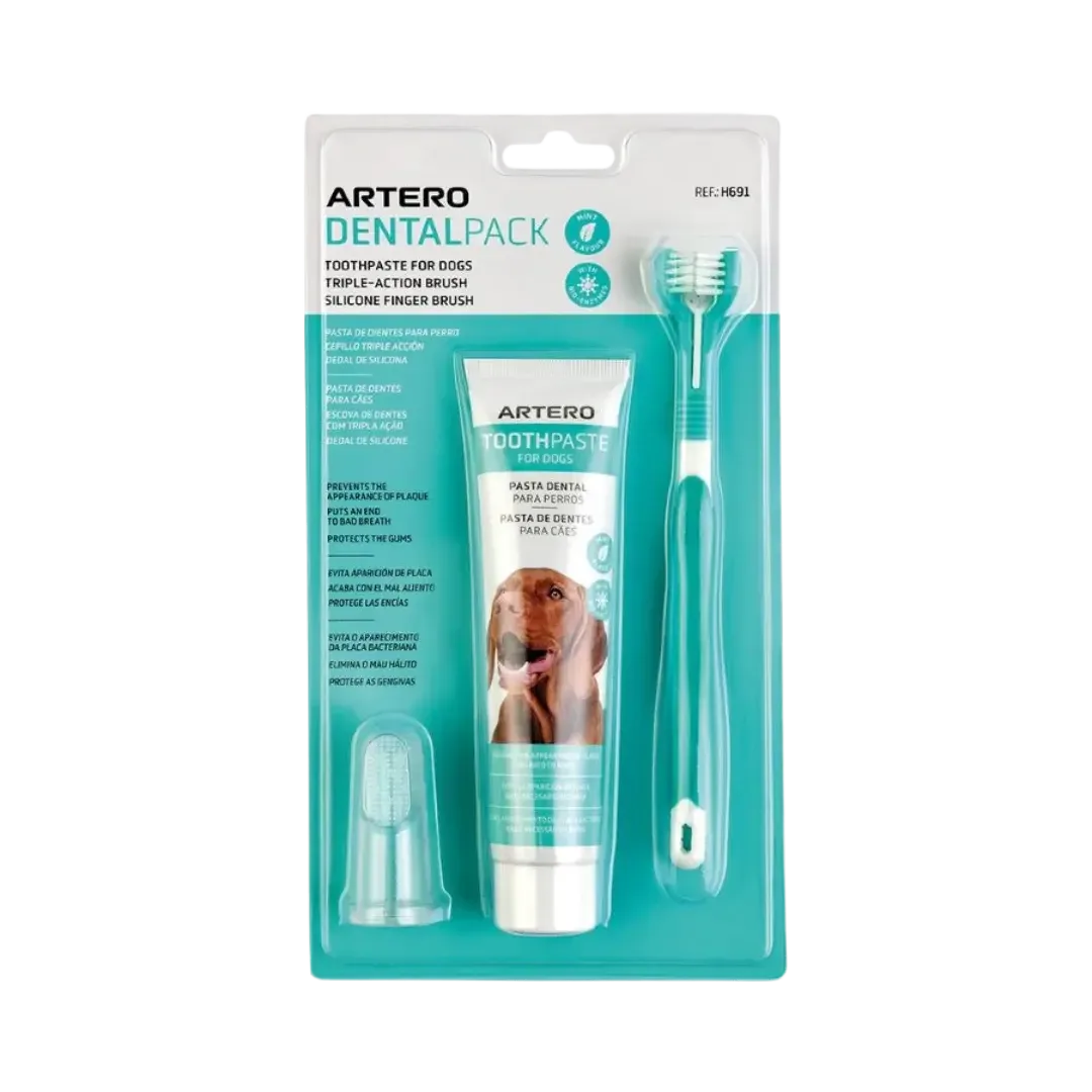Dental Pack Smile Complete Set by Artero