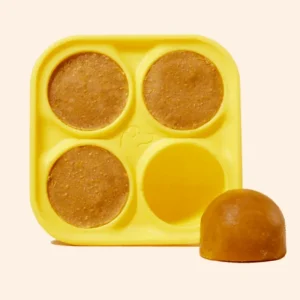 The Pupsicle Silicone Treat Tray