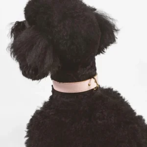 Moni Dog Collar in Blush Pink Leather (Made in Italy) (FINAL SALE)