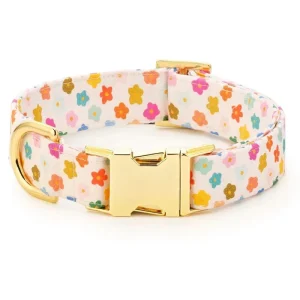 Rainbow Flower Dog Collar (Made in the USA) (FINAL SALE)
