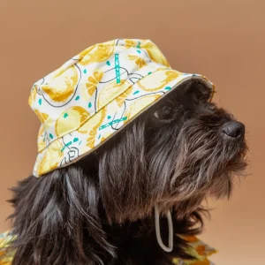 Lemonade Bucket Hat for Dogs <>