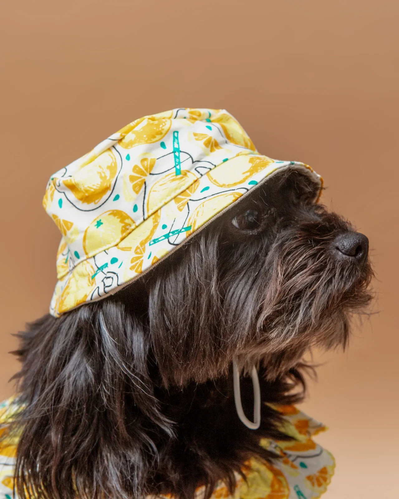 Lemonade Bucket Hat for Dogs <>