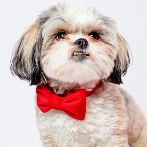 Cranberry Velvet Dog Bow Tie (Made in the USA)