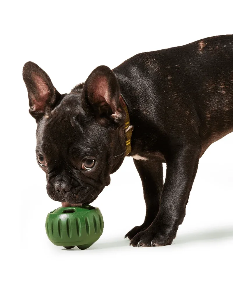 The Pupsicle Enrichment Dog Toy - Image 2