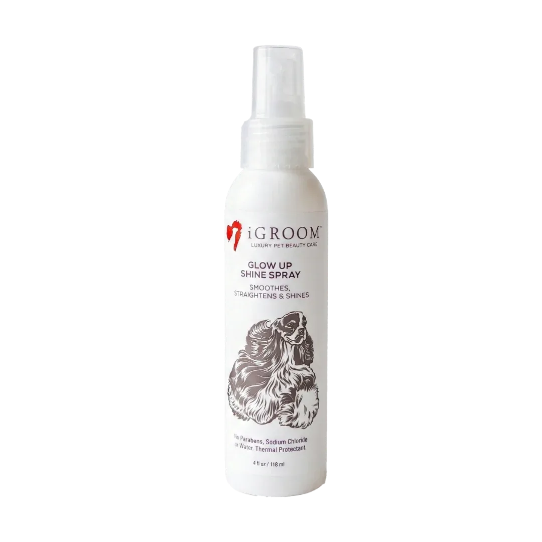 Glow Up Shine Spray 4 Oz by iGroom