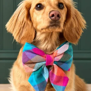 Color Pop Flannel Lady Dog Bow Tie (Made in the USA)