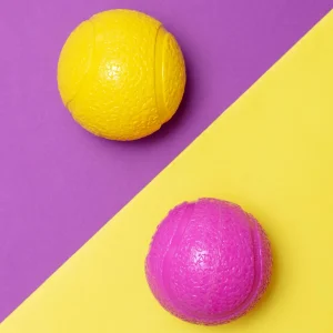 Boundr™ Squishy Dog Ball (2-Pack)