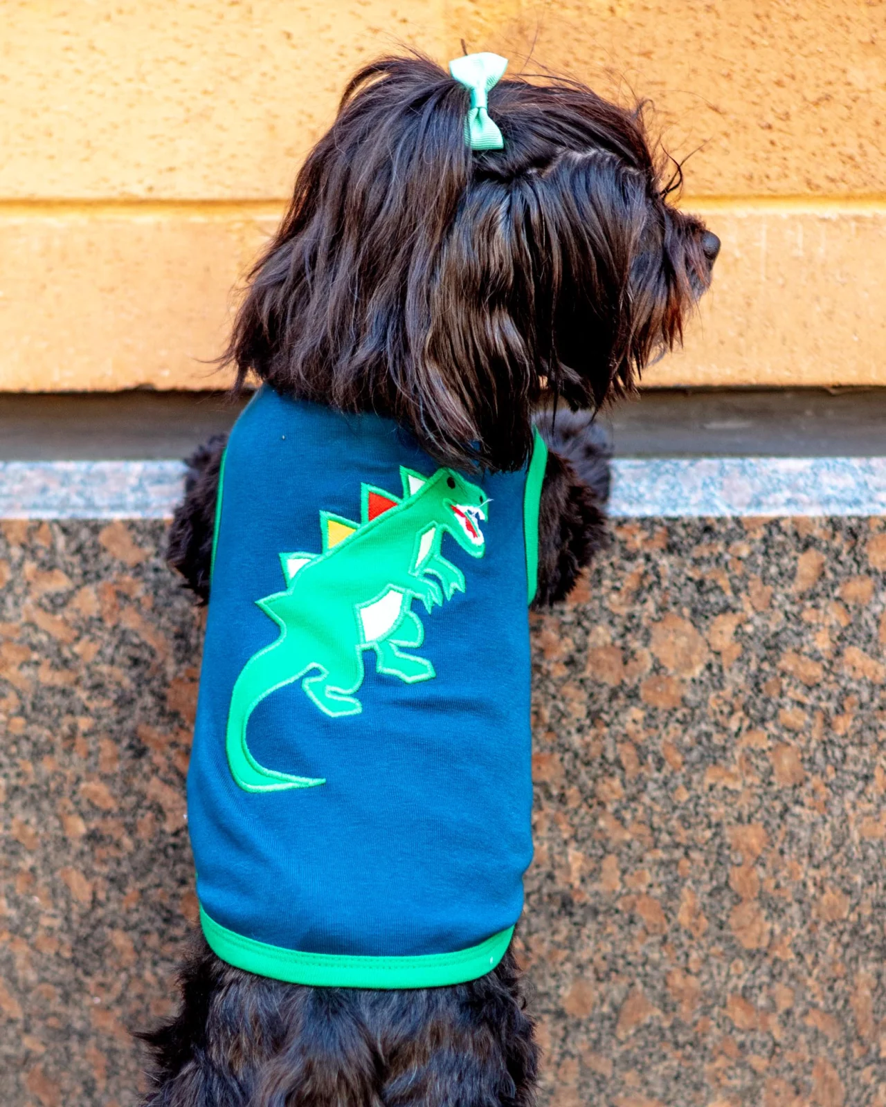 Dino Dog Tee (FINAL SALE)