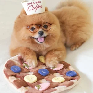Fruity Delight Crepe Dog Snuffle Mat Toy