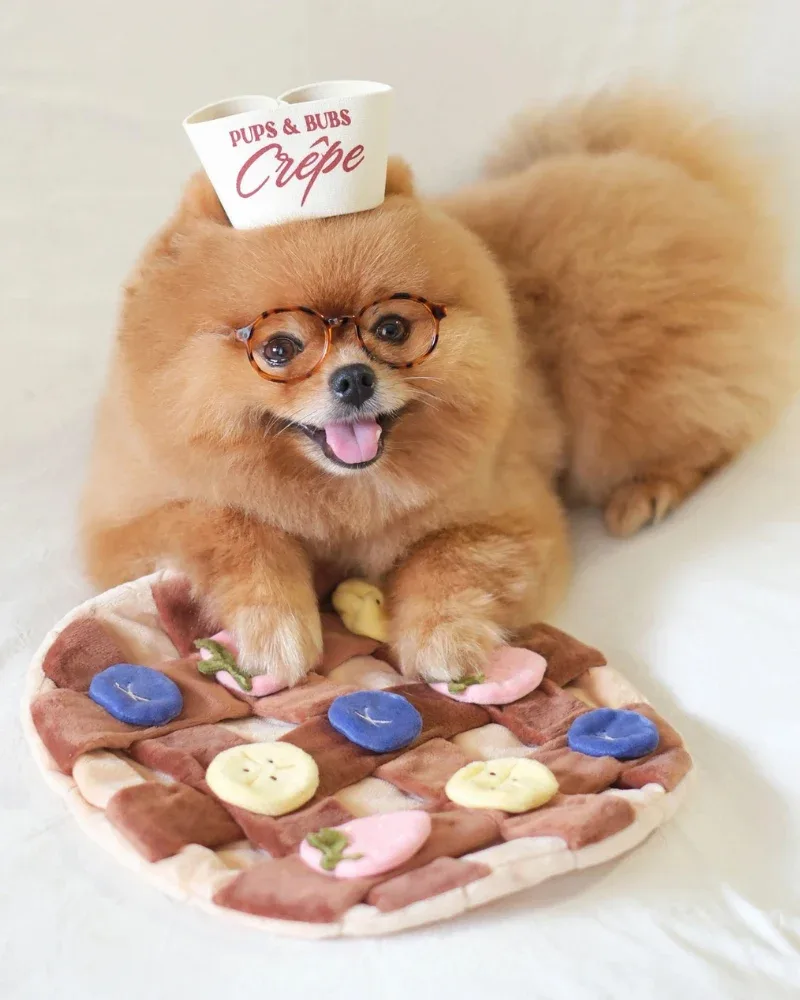 Fruity Delight Crepe Dog Snuffle Mat Toy