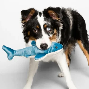 Tank the Shark Plush Squeaky Dog Toy