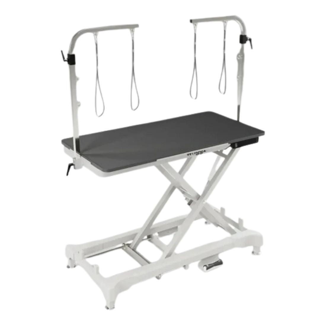 52" Dog Grooming 999 Electric Table without Drawer White by Waggz