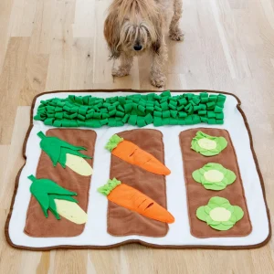 Spring Vegetable Garden Snuffle Dog Mat