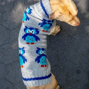 Owls are a Hoot Wool Dog Sweater
