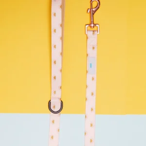 Nylon Dog Lead in Joshua Tree Print