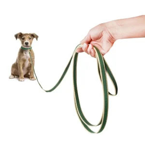 Color Market Dog Training Leash in Forest & Tan (Made in the USA)